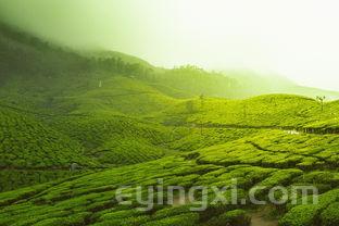 帝豪烟价格表2025,帝豪烟价格表