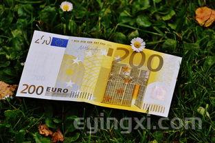 红塔山烟价格表2021价格表,红塔山烟价格