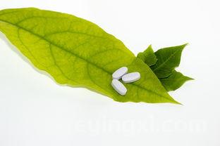 大同烟草支树华简历，大同烟草