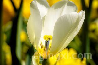 铂岚电子烟官网商城,铂岚电子烟