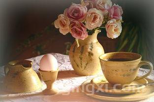 芙蓉王烟价格表图大全,芙蓉王烟价格表图