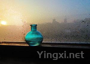 博瓦塞扩大版图，加州酒商加盟壮实力