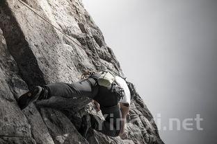 泸州老窖大曲研究新突破,创新成果引人注目