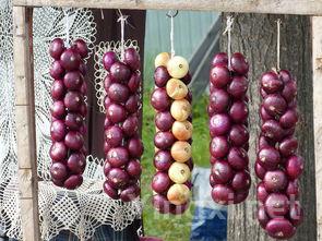 降心率的茶饮,降心率的茶叶