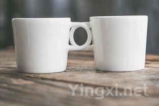 关于茶叶的资料，关于茶叶的相关资料