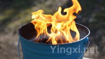 什么茶上火什么茶降火，什么茶叶上火吗