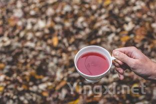 叶子最小最嫩的茶叶，什么茶叶一泡都是小嫩叶
