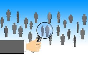 茶叶的数据怎么找，茶叶查收