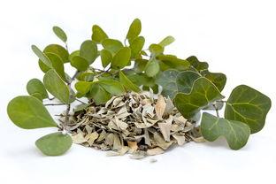 茶叶的种类图片大全集，茶叶的种类与图片