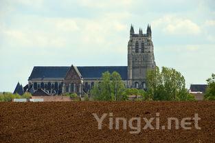 云南农业大学茶叶，云南农业大学茶叶研究所