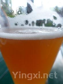 啤酒的灵魂是酵母吗，什么是啤酒的灵魂