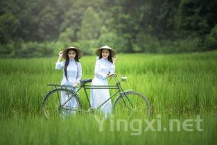 高速卖的茶叶是真的吗，高速卖的茶叶是真的吗还是假的