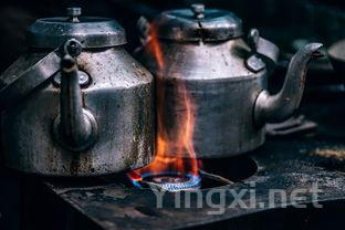 茶叶中蒽醌，茶叶中蒽醌含量最高的是