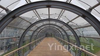 广州茶叶展览会，2021广州国际茶叶博览会