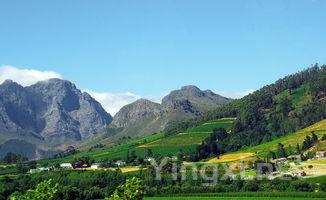 山西酒厂有什么品牌，山西酒厂分布图