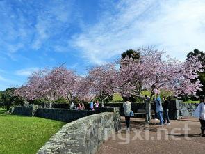 郑州北环茶城在哪个位置,郑州北茶叶 郑州北环茶城在哪个位置,郑州北茶叶