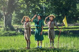 游戏茶叶蛋大冒险第十一关门要飞走了,游戏茶叶 游戏茶叶蛋大冒险第十一关门要飞走了,游戏茶叶