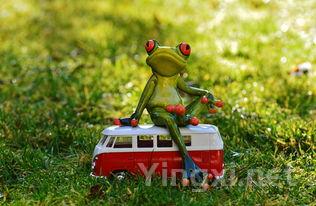 乐堡属于哪个公司的,乐堡念什么 乐堡属于哪个公司的,乐堡念什么