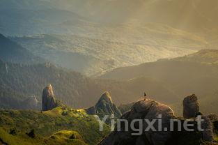 天堂山茶叶多少钱,天堂山茶叶