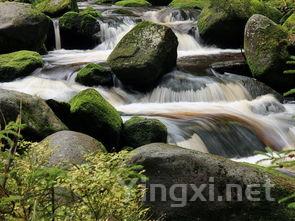 天堂山茶叶多少钱,天堂山茶叶