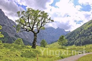 天堂山茶叶多少钱,天堂山茶叶