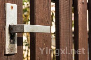 茶叶明前好还是雨前好，茶叶明前