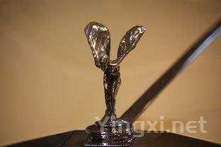 syrah是什么红酒,syrah红酒怎么样