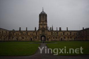 广西都有什么啤酒厂,广西十大啤酒排名