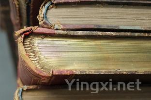 海柳烟斗,海柳烟斗多少钱一个