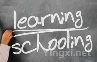 中国烟草培训网络学院官网下载,中国烟草培训网