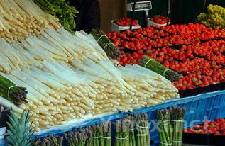 提升品酒境界：精选品酒词汇助你成为行家