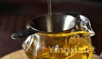 巴贝拉葡萄:意大利平民风味,特色品种不容错过