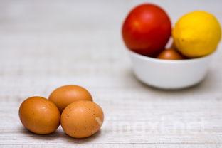 全新WSET®三级葡萄酒认证指南 - 深度解析