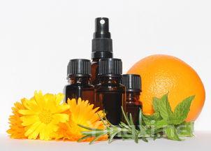 英国葡萄酒的魅力：你知道吗？