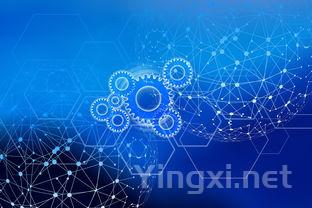 葡萄酒瓶底凹槽：隐藏的宝藏功能揭晓！