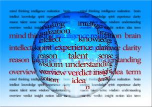 中欧市场需求激增，波尔多葡萄酒出口额破纪录