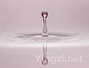 白酒最近频繁涨价，醉翁之意不在涨价，而在于挺价