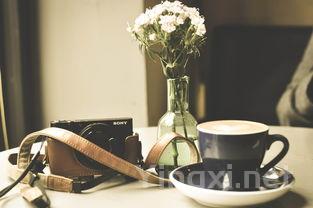 解锁葡萄酒的奥秘,寻找你的最佳之选