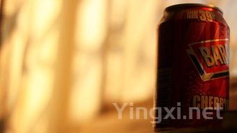 畅销密码:一升装葡萄酒如何赢得市场青睐?