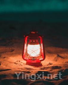 醇香世界构建者：葡萄酒酿制的秘密