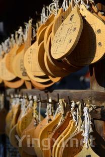 品味卓越:皮埃蒙特葡萄酒的非凡魅力