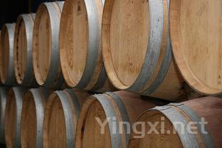 深入解析干红葡萄酒制作工艺与技术规范