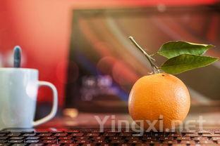 “惹味”木桶酿传奇：威士忌风味成长的密码