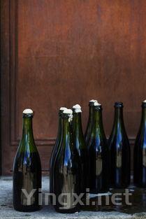 白葡萄酒的南非足迹：环球品鉴记