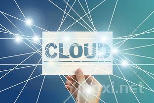 企业担责引领创新，重塑进口葡萄酒市场生态