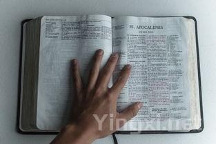 龙腾瑞气酒香浓,新春佳节共欢腾