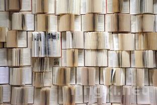 葡萄蜕变为佳酿:美酒诞生的奥秘之旅