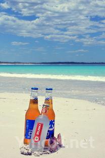 优质啤酒的挑选技巧