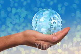 葡萄酒为何带有香草芬芳?秘密揭晓