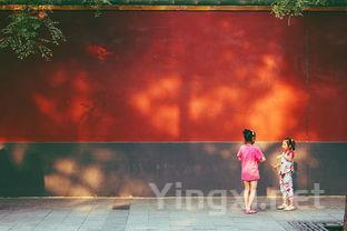 啤酒与文学作品中的意象